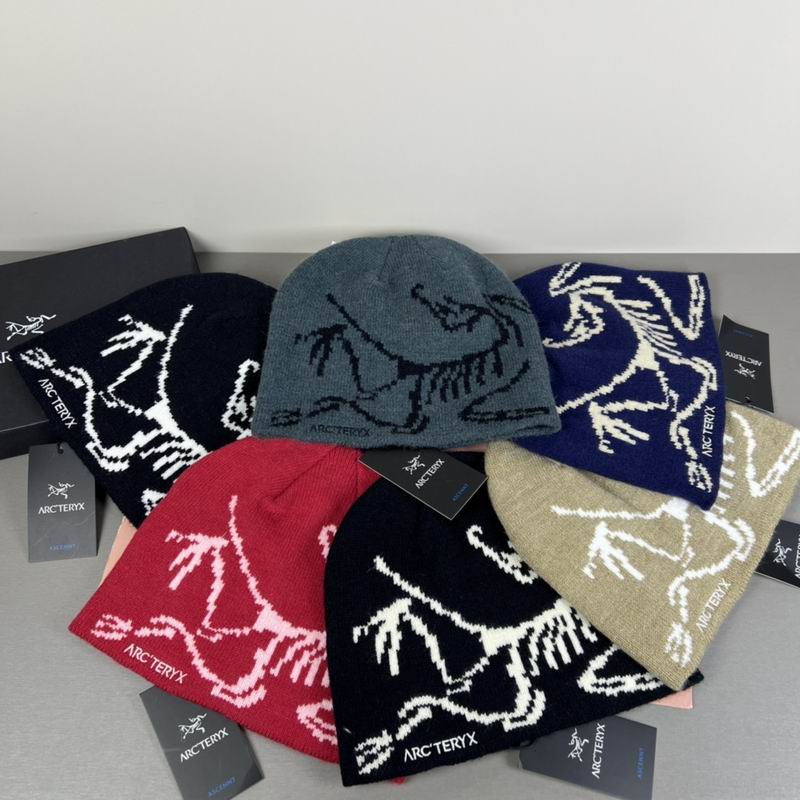 Arcteryx hat dx19